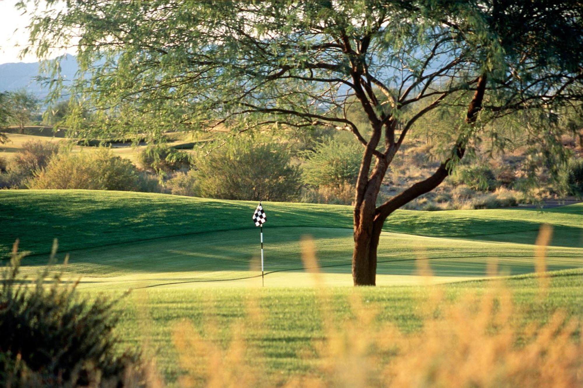 Sheraton Grand At Wild Horse Pass Chandler Esterno foto